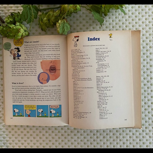 Charlie Brown’s Book of Questions & Answers - Picture 6 of 9